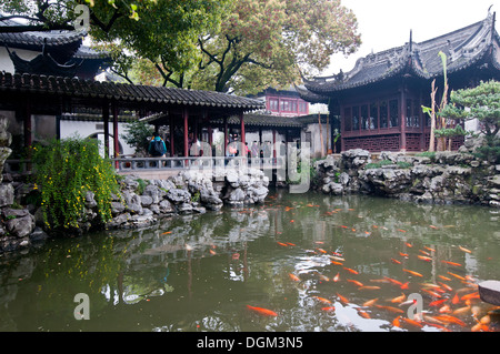 Koi de poissons dans le Jardin Yuyuan (jardin du bonheur ou le jardin de la paix) dans la vieille ville de Shanghai, Chine Banque D'Images