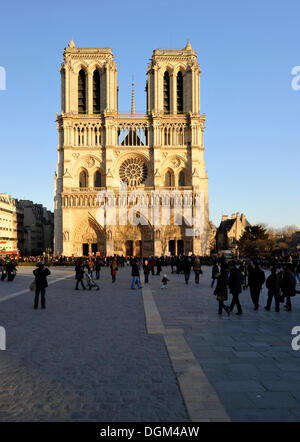 Façade ouest, la cathédrale de Notre-Dame de Paris, Ile de la Cité, Paris, France, Europe Banque D'Images