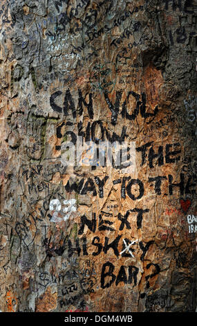 Des graffitis et des messages sur un tronc d'arbre près de la tombe de Jim Morrison, cimetière du Père Lachaise, Paris, France, Europe Banque D'Images