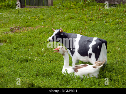 Du vrai goose & plastique vache, Carrickfergus Banque D'Images