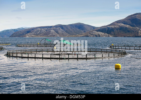 Norwegian fish farm avec cages rondes pour les saumons de plus en fjord Banque D'Images