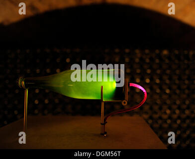 Démonstration de la déposition de sédiments de levure, cave à vin en pierre calcaire, Moet et Chandon Winery, groupe de produits de luxe LVMH Banque D'Images