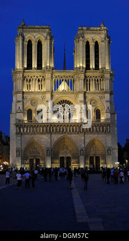 Vue de nuit, la façade ouest, la cathédrale de Notre-Dame de Paris, l'Ile de la Cité, Paris, France, Europe, PublicGround Banque D'Images