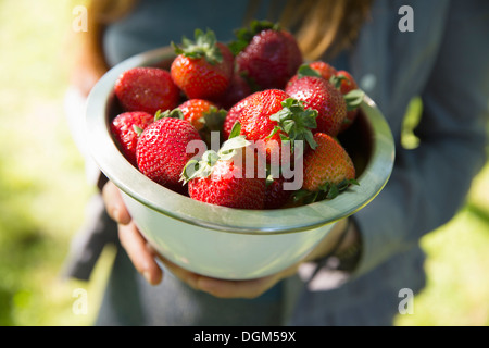 À la ferme. Une femme portant un bol de fraises cueillies. Banque D'Images