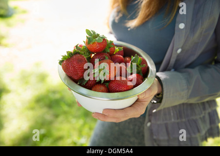 À la ferme. Une femme portant un bol de fraises cueillies. Banque D'Images