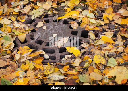 D'égout ronde avec des feuilles d'automne dans le parc Banque D'Images