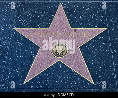 Terrazzo star pour l'acteur Sylvester Stallone, catégorie film, Walk of Fame, Hollywood Boulevard, Hollywood, Los Angeles Banque D'Images