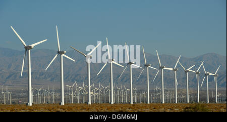 L'énergie éolienne, Col San Gorgonio Wind Farm, exploité par ExxonMobil, l'un des trois plus grands parcs éoliens de l'United States Banque D'Images