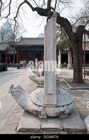 Tablettes de pierre sur la statue de tortues en Dongyue taoist Temple dans le district de Chaoyang, Beijing, Chine Banque D'Images