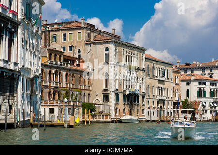 Vieilles maisons sur le grand canal, le grand canal, Venise, Italie, Europe Banque D'Images