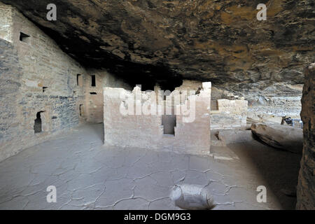 Maison de l'arbre de l'épinette, falaise de logement des autochtones américains, environ 800 ans, Mesa Verde National Park Banque D'Images