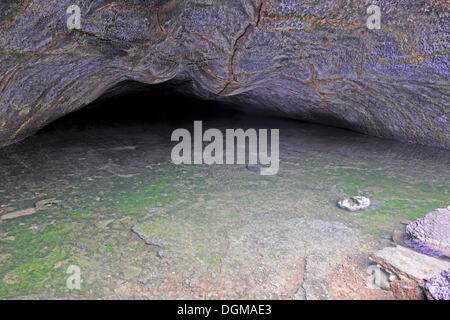 Tunnel de lave, l'île Isabela, îles Galapagos, l'UNESCO Site du patrimoine naturel mondial, Equateur, Amérique du Sud Banque D'Images