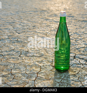 Le paysage de la Black Rock Desert dans le Nevada. Une bouteille d'eau. L'eau minérale filtrée. Banque D'Images