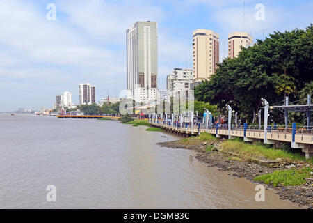 Vue sur le front de mer de Malecon parc sur les rives du Rio Guayas, Guayaquil, Equateur, Amérique du Sud Banque D'Images