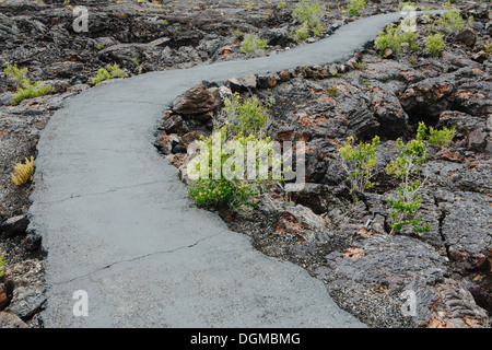 Les champs de lave sentier pavé de cratères de la Lune national monument préserver Butte Comté Ohio l'armoise plantes croissant. Banque D'Images