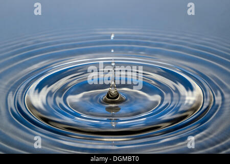 Les gouttelettes d'eau qui tombe sur une surface de l'eau Banque D'Images