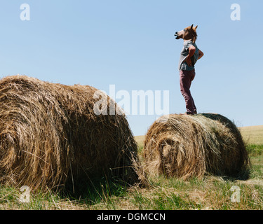 Un homme portant un masque de cheval, debout sur une balle de foin, avec vue sur les terres agricoles. Banque D'Images