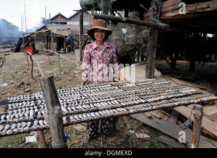 Femme poisson mettre à sécher dans le village de Kampong Khleang, Kompong Kleang sur le lac Tonle Sap, Siem Reap, Cambodge Banque D'Images