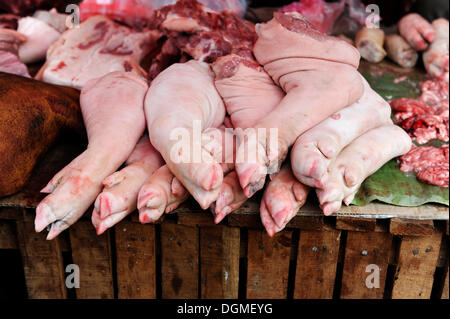 Les pieds de porcs sur le marché alimentaire, Luang Prabang, Laos, Asie du sud-est Banque D'Images