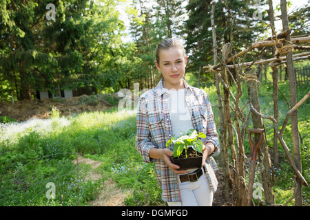 Une fille dans une chemise à carreaux avec une plante avec des feuilles vert vif dans une plante en pot. Une enceinte clôturée. Banque D'Images