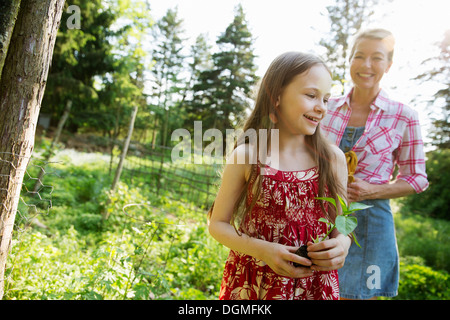 Une jeune fille tenant une plante de semis, et la marche à travers les jardins de la ferme avec une femme adulte qui suit. Banque D'Images