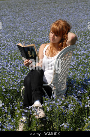 Lecture fille assise sur une chaise dans un champ de lin Banque D'Images