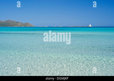 Plage de Cala Porto Giunco, Villasimius, Sarrabus, Province de Cagliari, Sardaigne, Italie, Europe Banque D'Images