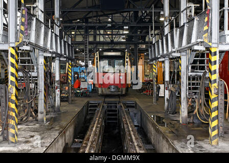 Dans la fosse, bâtiment atelier depot de la Harzer Schmalspurbahnen HSB, chemin de fer à voie étroite, Wernigerode Harz (Saxe-Anhalt), Banque D'Images