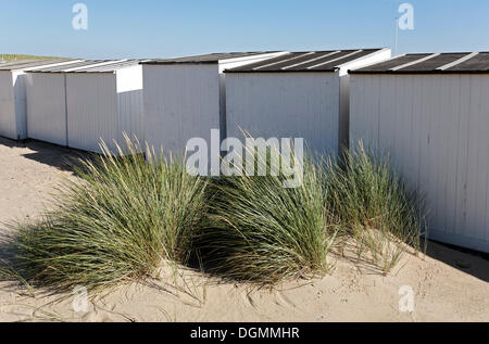 Cabines de plage blanc sur les dunes, Westkapelle, presqu'île de Walcheren, province de Zélande, Pays-Bas, Benelux, Europe Banque D'Images
