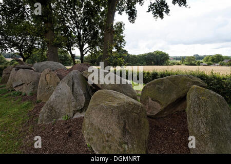 Jeggen tombe mégalithique de sépulture, de la période néolithique, Osnabruecker Pays Région, Basse-Saxe Banque D'Images