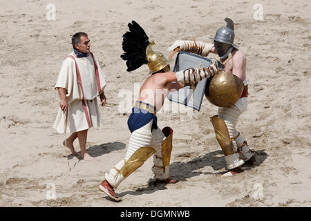 Par rapport à une époque d'Hoplomachus, lutte de gladiateurs, exposition lutte, Familia Gladiatoria Pulli Cornicinis par Marcus Junkelmann, Banque D'Images