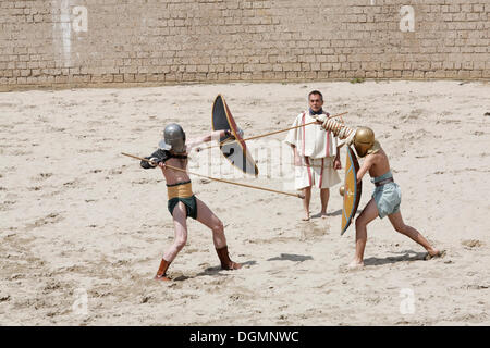 Gladiator fight, exposition lutte, Familia Gladiatoria Pulli par Cornicinis Roemerfest Junkelmann Marcus, festival 2012, stade Banque D'Images