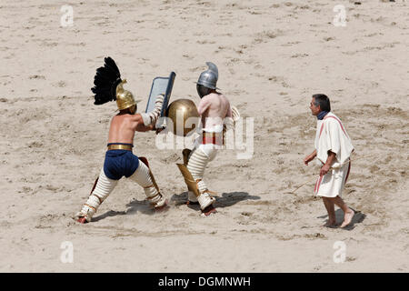 Par rapport à une époque d'Hoplomachus, lutte de gladiateurs, exposition lutte, Familia Gladiatoria Pulli Cornicinis par Marcus Junkelmann, Banque D'Images