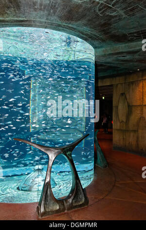 Dans l'Aquarium Lost Chambers, un parc à thème basé sur la légende d'Atlantis, Atlantis Hotel, le Palm Jumeirah, Dubaï Banque D'Images