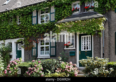 Maison de ville idyllique des années 20, couverte de lierre, zone résidentielle historique Margarethenhoehe de cité-jardin, Essen, Ruhr Banque D'Images