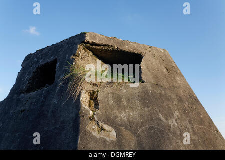 Bunker avec loop-trou ou fente, à partir de la 2ème Guerre Mondiale, Uerdingen, Krefeld, Rhénanie du Nord-Westphalie, Allemagne Banque D'Images