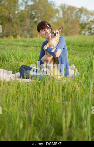 Une jeune femme assise dans un champ, sur une couverture, tenant un petit chien chihuahua. Banque D'Images