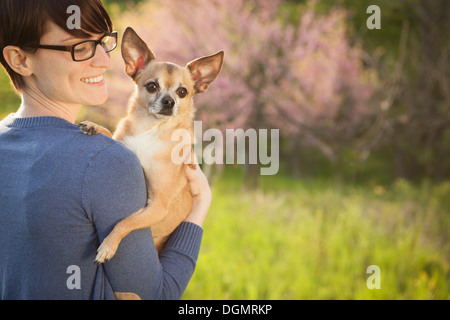 Une jeune femme dans les champs au printemps. Tenant un petit chihuahua chien dans ses bras. Un animal de compagnie. Banque D'Images
