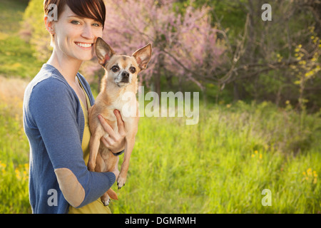 Une jeune femme dans les champs au printemps. Tenant un petit chihuahua chien dans ses bras. Un animal de compagnie. Banque D'Images