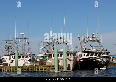 Flotte de pêche au quai, Digby, baie de Fundy, Provinces maritimes, Nova Scotia, Canada Banque D'Images