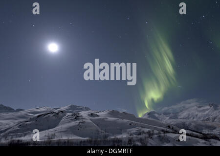 Lumières polaires (Aurora Borealis) et la lune au-dessus de Sildpollheia Sildpollneset Austnesfjorden, près de la montagne, Austvagoya, Lofoten Banque D'Images