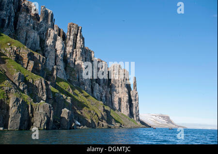 Falaises d'oiseaux Alkefjellet, habitée par tThick de Brünnich Guillemot de Brünnich ou (Uria lomvia), Hinlopenstretet Banque D'Images