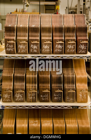 Rangée de corps de guitare pendant processus de production chez Martin Guitars factory à Nazareth, Pennsylvanie, USA Banque D'Images