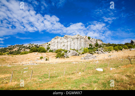 Campagne paysage Sierra de Grazalema Cadiz Province Espagne Banque D'Images