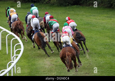 Hambourg, Allemagne, chevaux et jockeys pendant une course de chevaux Banque D'Images