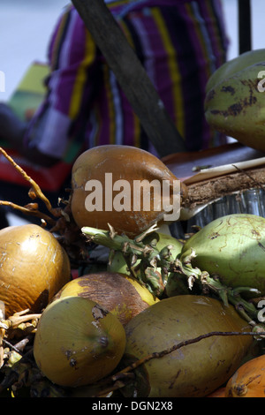 Roi de COCO POUR VENTE GALLE SRI LANKA 17 Mars 2013 Banque D'Images