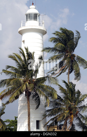 Leuchtturm & COCOTIERS GALLE SRI LANKA 17 Mars 2013 Banque D'Images