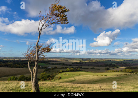 Pegsdon hills bedfordshire angleterre uk go Banque D'Images