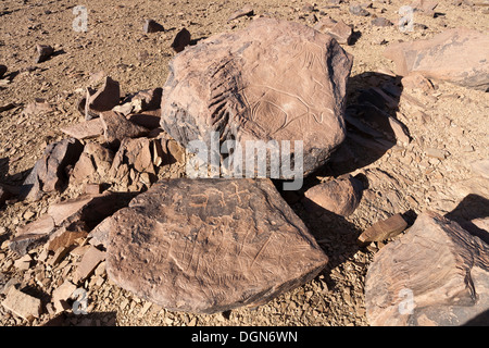 Sculptures rupestres préhistoriques à l'Aman sur Ighribin le Tata à Akka road au Maroc Banque D'Images