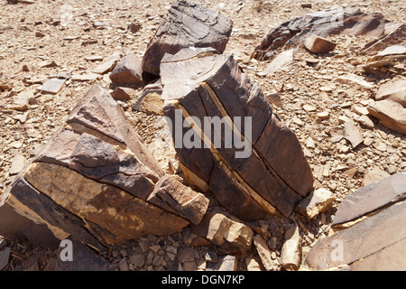 Sculptures rupestres préhistoriques à l'Aman sur Ighribin le Tata à Akka road au Maroc Banque D'Images